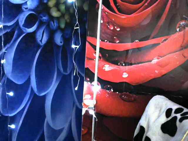 Lilijjjjjjjjjjjjjjjjj90 webcam