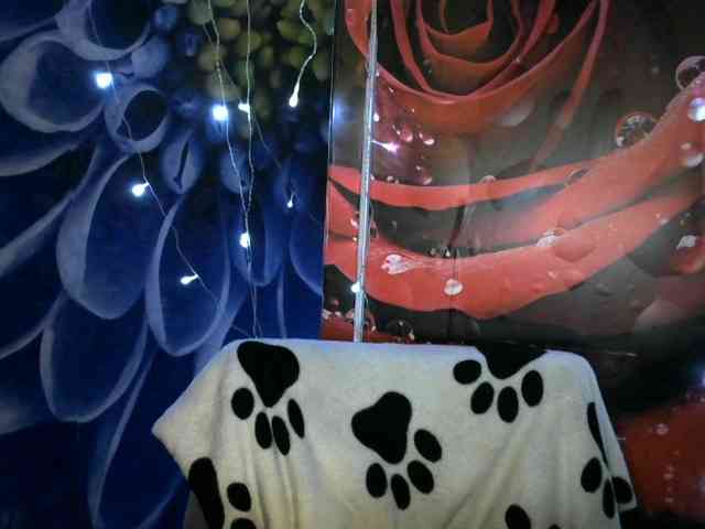 Lilijjjjjjjjjjjjjjjjj90 webcam