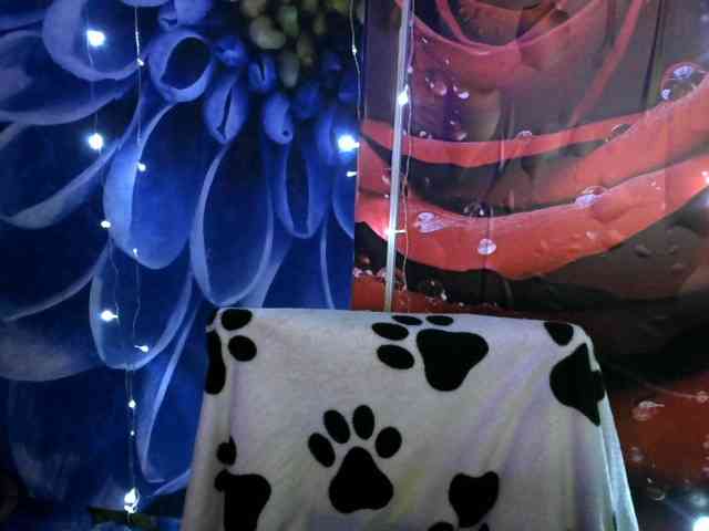 Lilijjjjjjjjjjjjjjjjj90 webcam