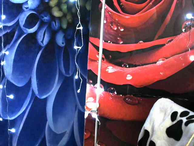 Lilijjjjjjjjjjjjjjjjj90 webcam