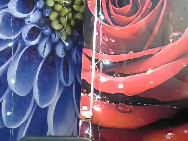 Lilijjjjjjjjjjjjjjjjj90 webcam