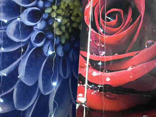 Lilijjjjjjjjjjjjjjjjj90 webcam