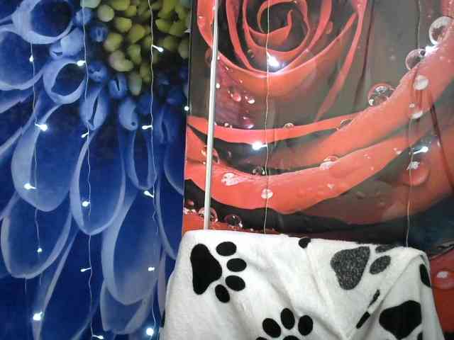 Lilijjjjjjjjjjjjjjjjj90 webcam