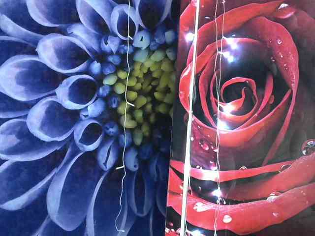 Lilijjjjjjjjjjjjjjjjj90 webcam