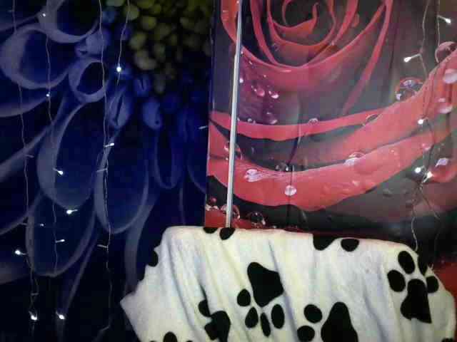 Lilijjjjjjjjjjjjjjjjj90 webcam