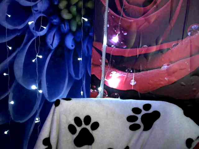 Lilijjjjjjjjjjjjjjjjj90 webcam