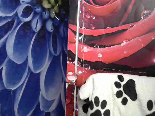 Lilijjjjjjjjjjjjjjjjj90 webcam