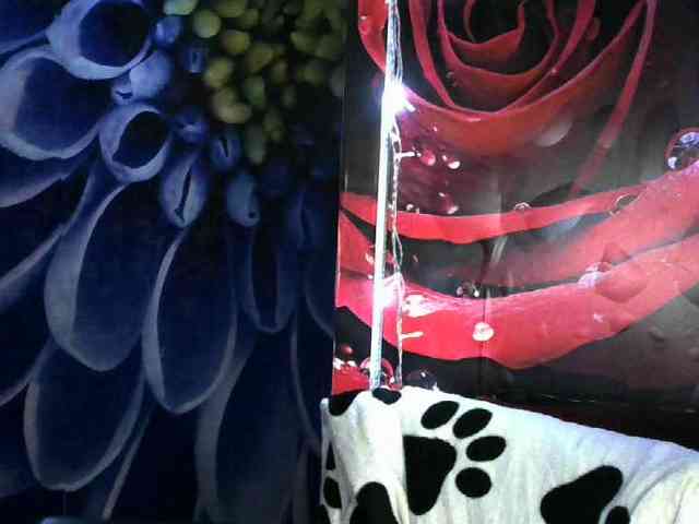 Lilijjjjjjjjjjjjjjjjj90 webcam