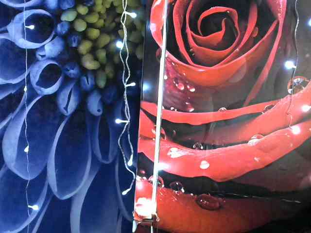 Lilijjjjjjjjjjjjjjjjj90