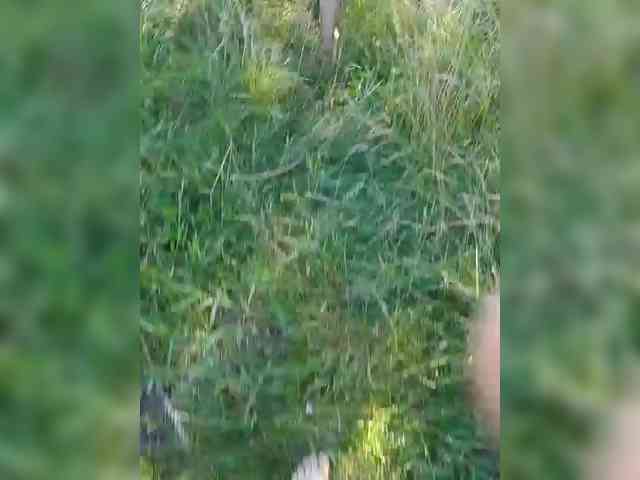 hidden web cam Family22a