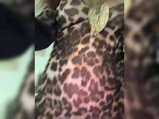 Black-Princess webcam