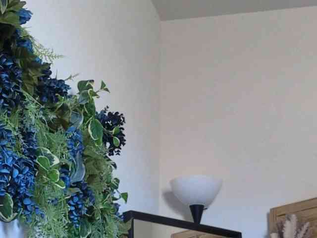 PreeminentJess webcam
