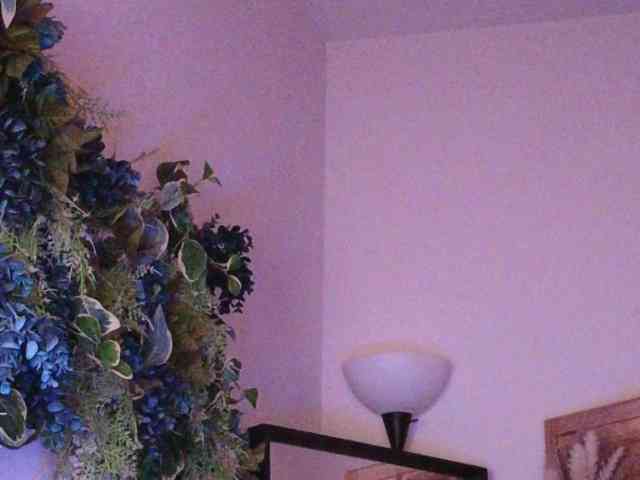 PreeminentJess webcam