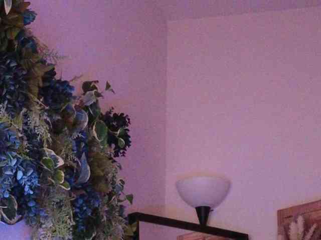 PreeminentJess webcam
