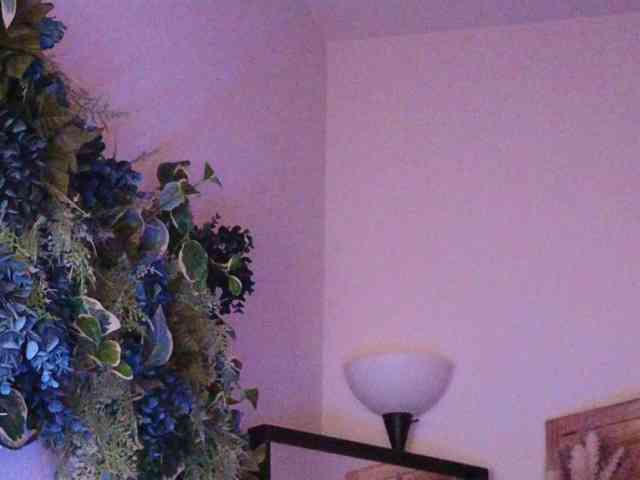 PreeminentJess webcam
