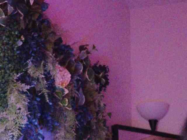 PreeminentJess webcam