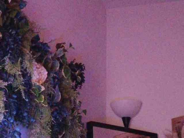 PreeminentJess webcam