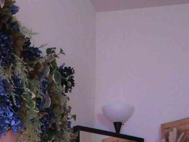 PreeminentJess webcam