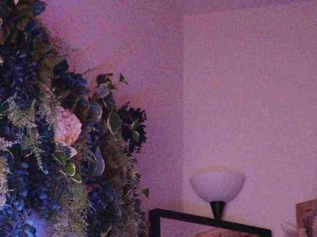 PreeminentJess webcam