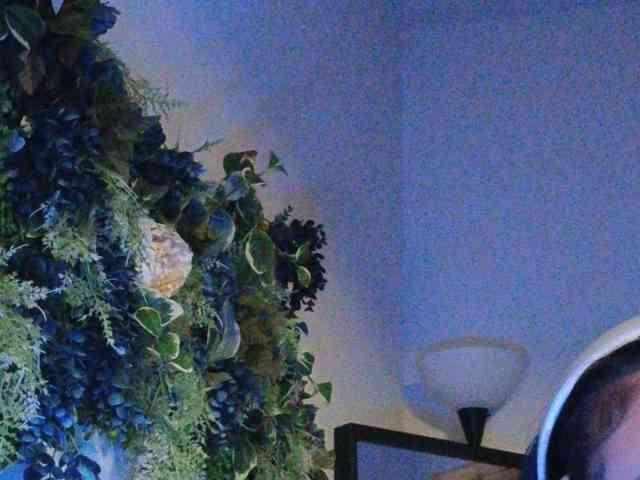 PreeminentJess webcam