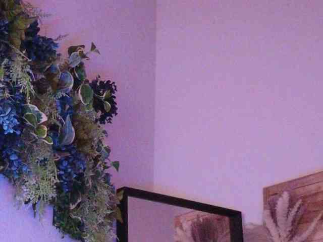 PreeminentJess webcam