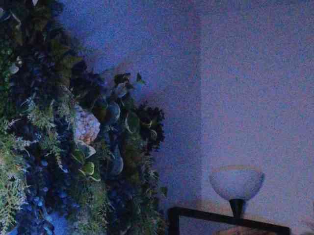PreeminentJess webcam