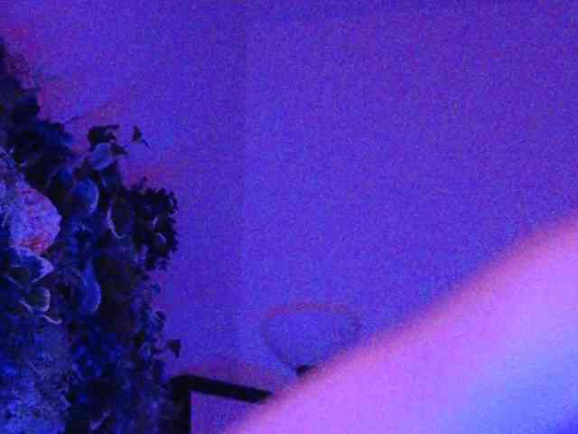 PreeminentJess webcam