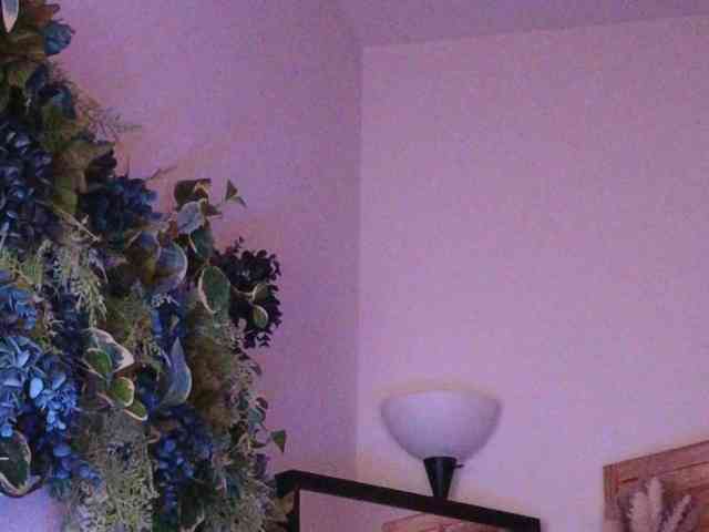PreeminentJess webcam