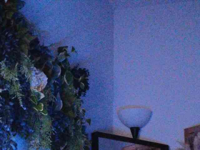 PreeminentJess webcam