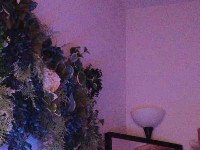 PreeminentJess webcam