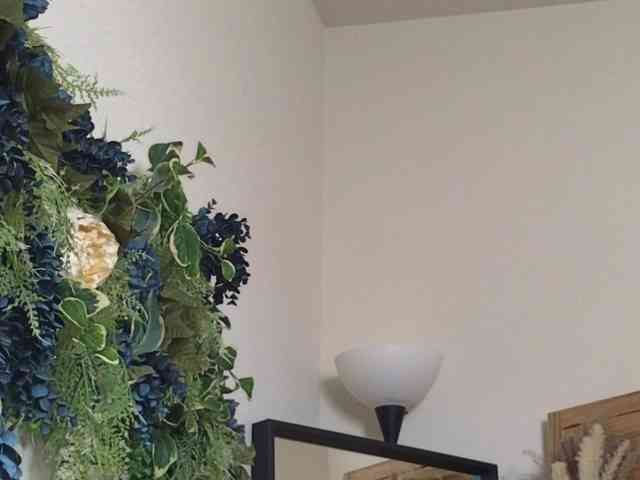 PreeminentJess webcam