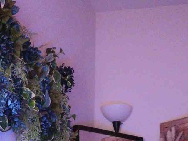 PreeminentJess webcam