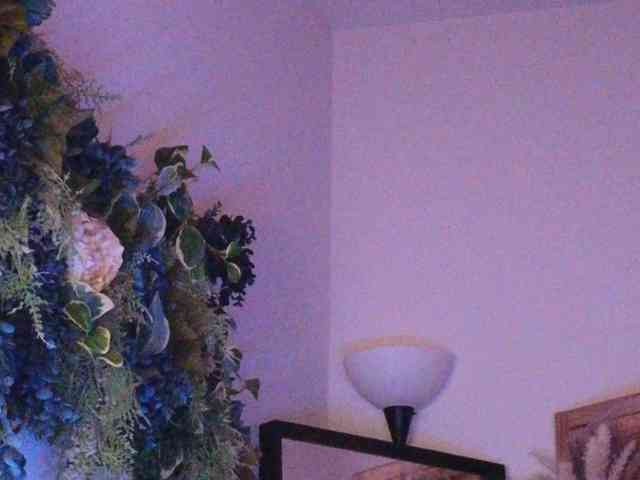 PreeminentJess webcam
