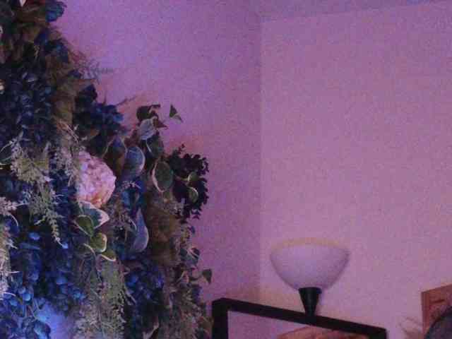 PreeminentJess webcam