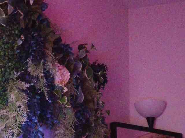 PreeminentJess webcam