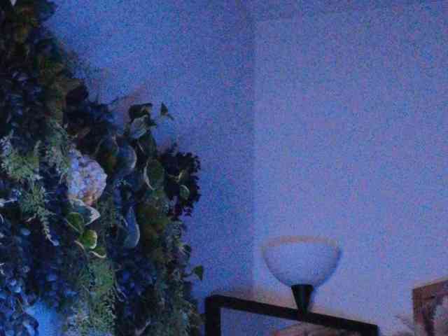 PreeminentJess webcam