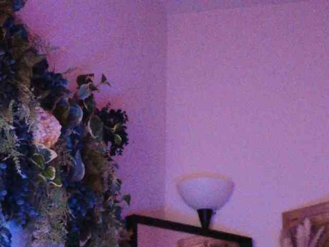 PreeminentJess webcam
