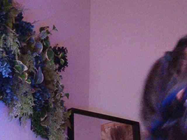 PreeminentJess webcam
