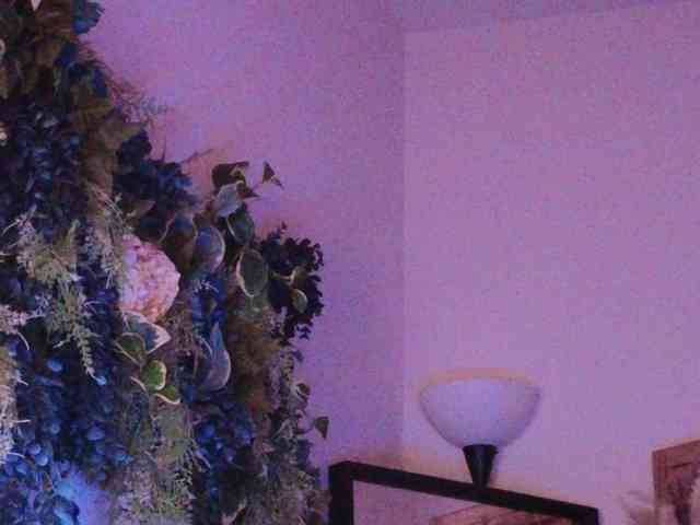 PreeminentJess webcam