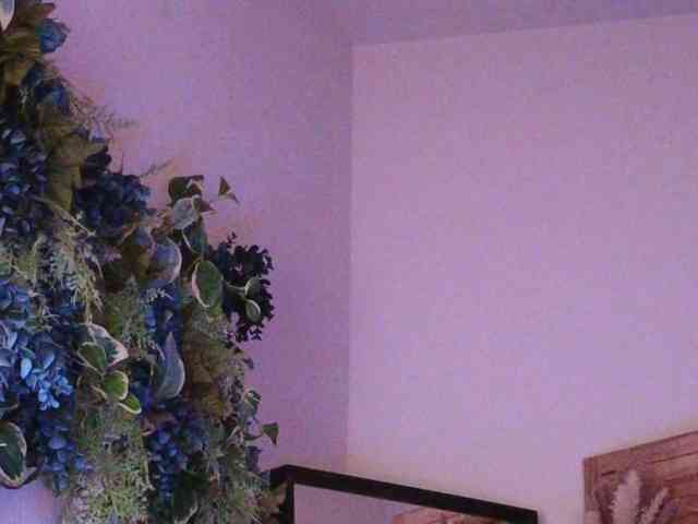 PreeminentJess webcam