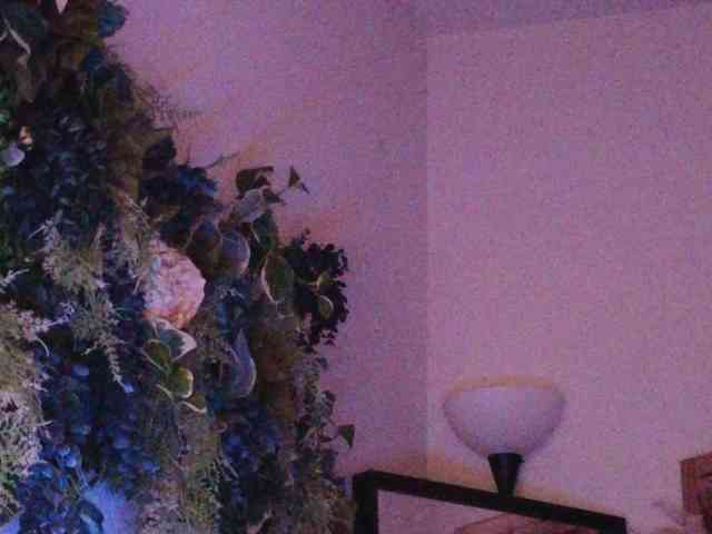 PreeminentJess webcam