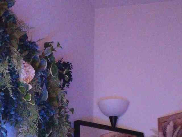 PreeminentJess webcam