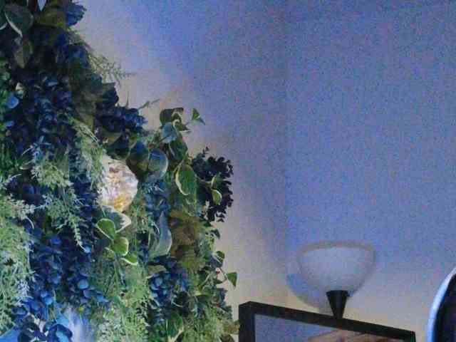 PreeminentJess webcam