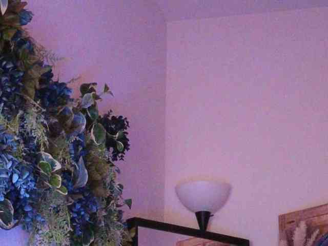 PreeminentJess webcam