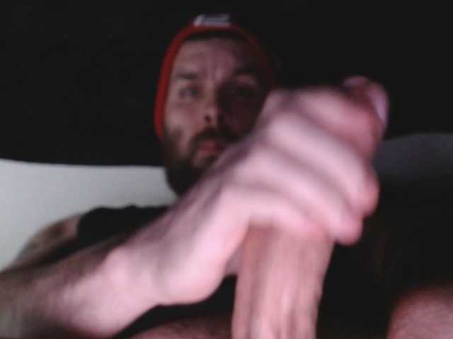 Calistud94