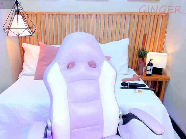 GingerWin webcam