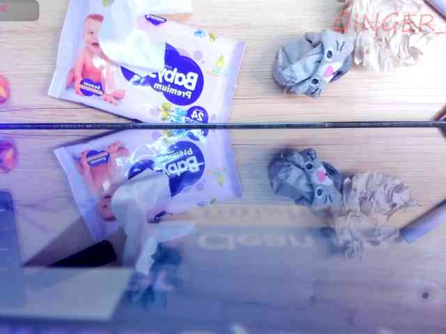 GingerWin webcam