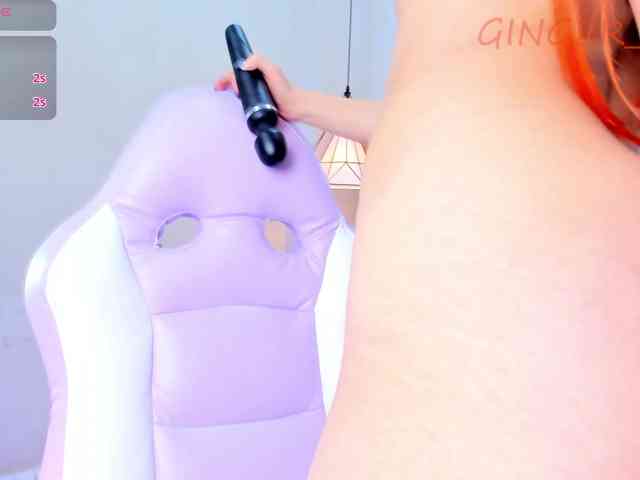 GingerWin webcam