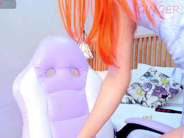 GingerWin webcam