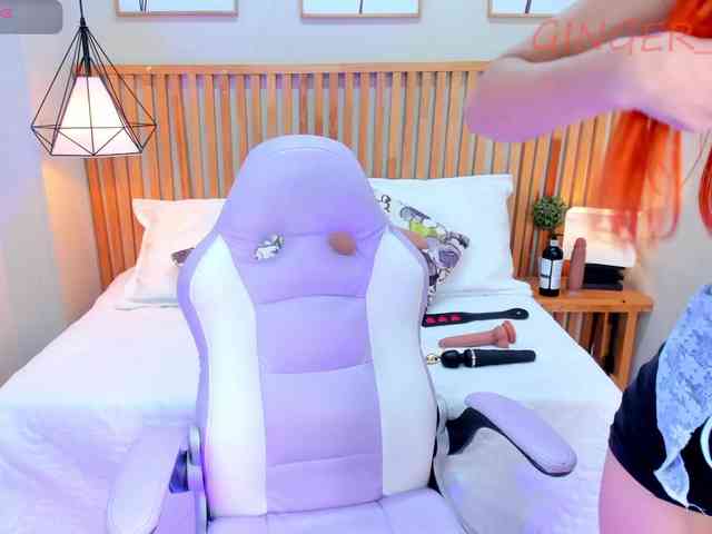 GingerWin webcam